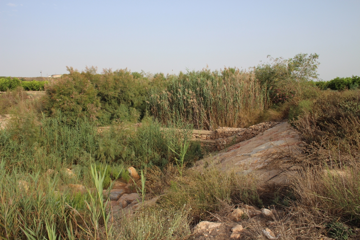 San Javier prepara ya el proyecto para el parque inundable de la Rambla de Cobatillas