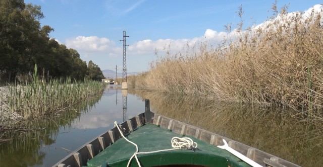 Riegos de Levante recibe el Premio a la Protección y Cuidado del Medio Ambiente