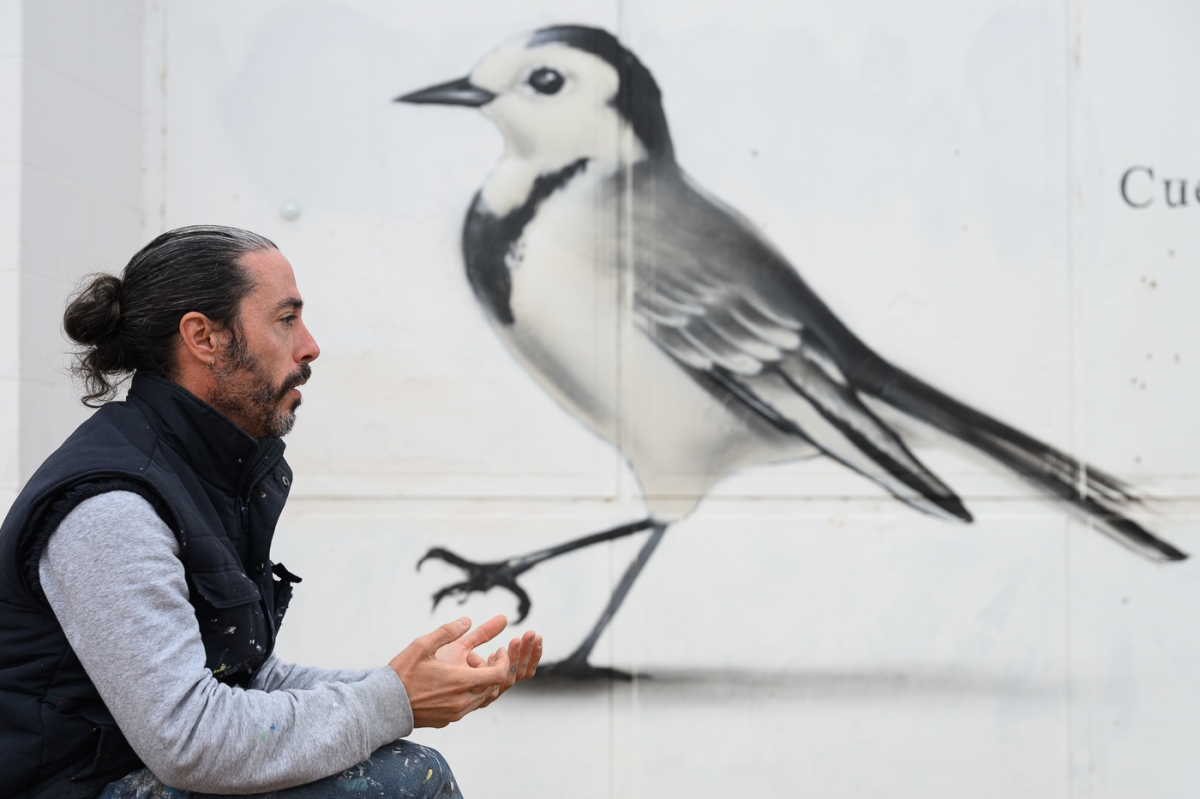 Pedro, el grafitero que pinta aves por todas partes