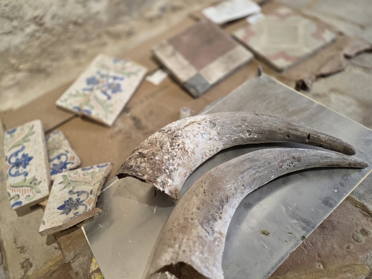  - Foto: AJUNTAMENT DE VALÈNCIA