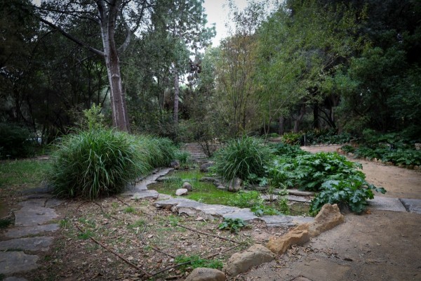 Torrent inaugurará la nueva iluminación escénica del Parc Municipal de l'Hort de Trénor