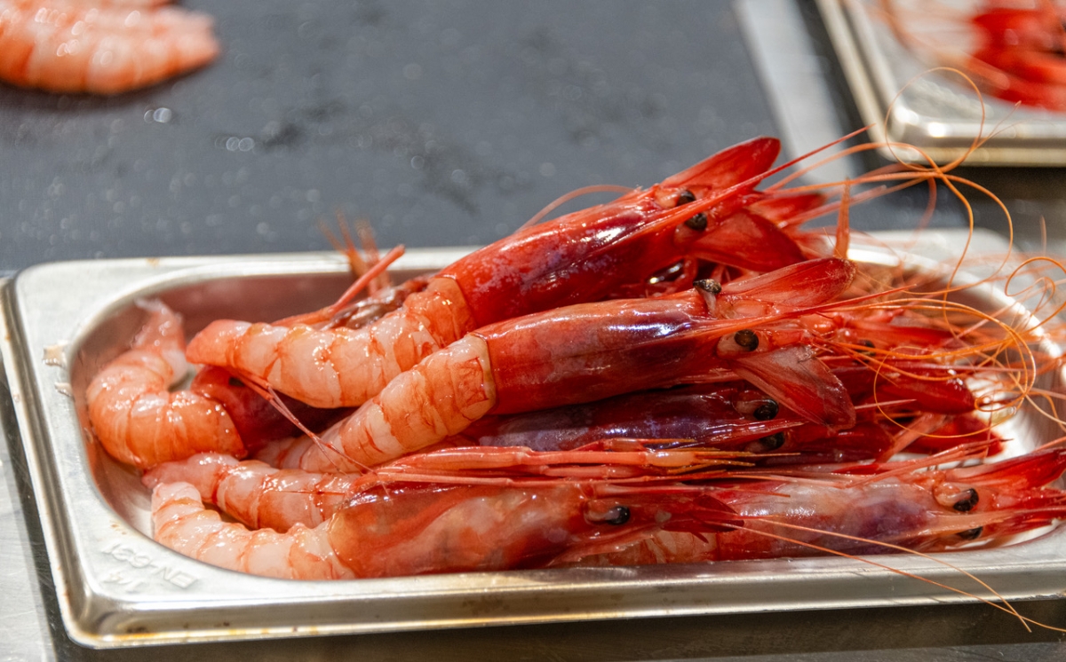 La creatividad culinaria vuelve a medirse en Dénia con la gamba roja como protagonista