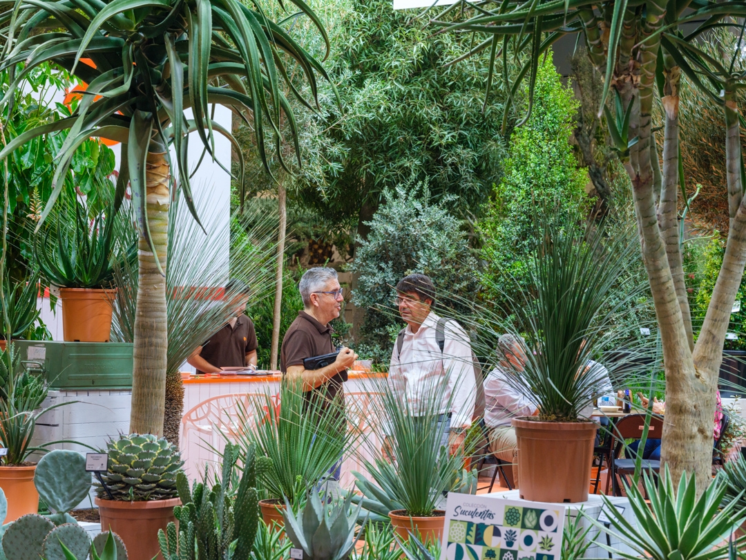  - Foto: FERIA VALENCIA