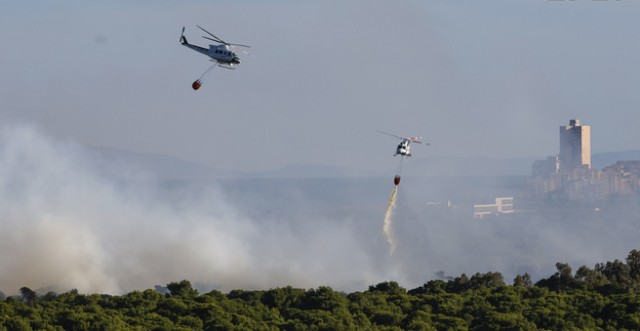 Extinguido el incendio iniciado esta tarde en una zona de cañar de Aspe