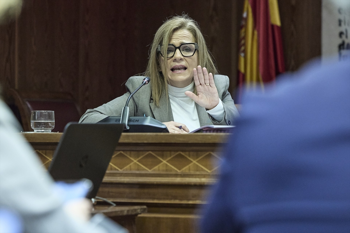 Bernabé gana la batalla dialéctica al PP en la comisión del Senado por la Dana