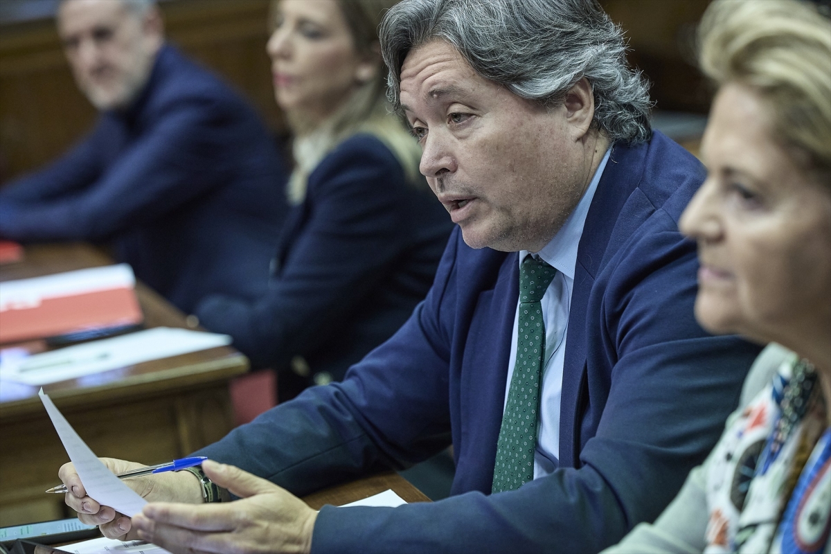El portavoz del PP en la comisión, Luis Santamaría. - Foto: EP/JESÚS HELLÍN El portavoz del PP en la comisión, Luis Santamaría.