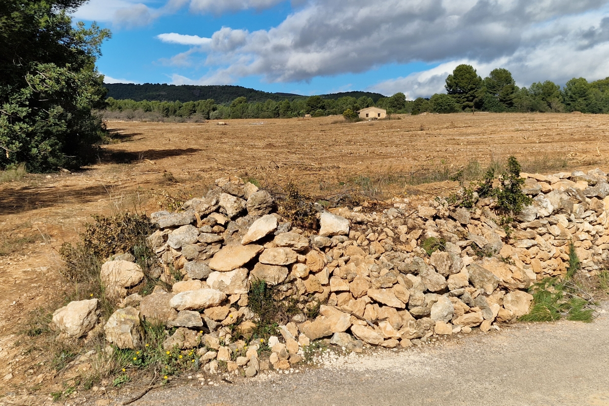  - Foto: ANTONIO PRADAS