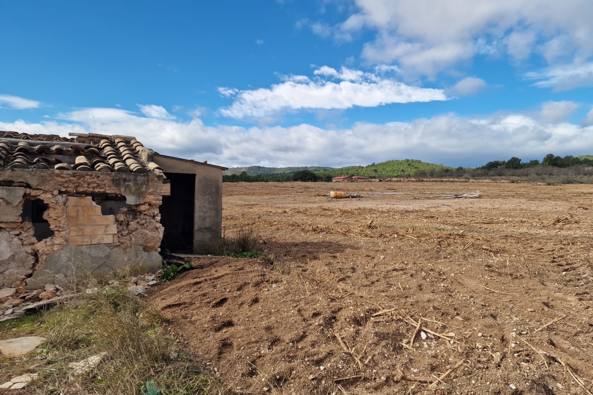  - Foto: ANTONIO PRADAS