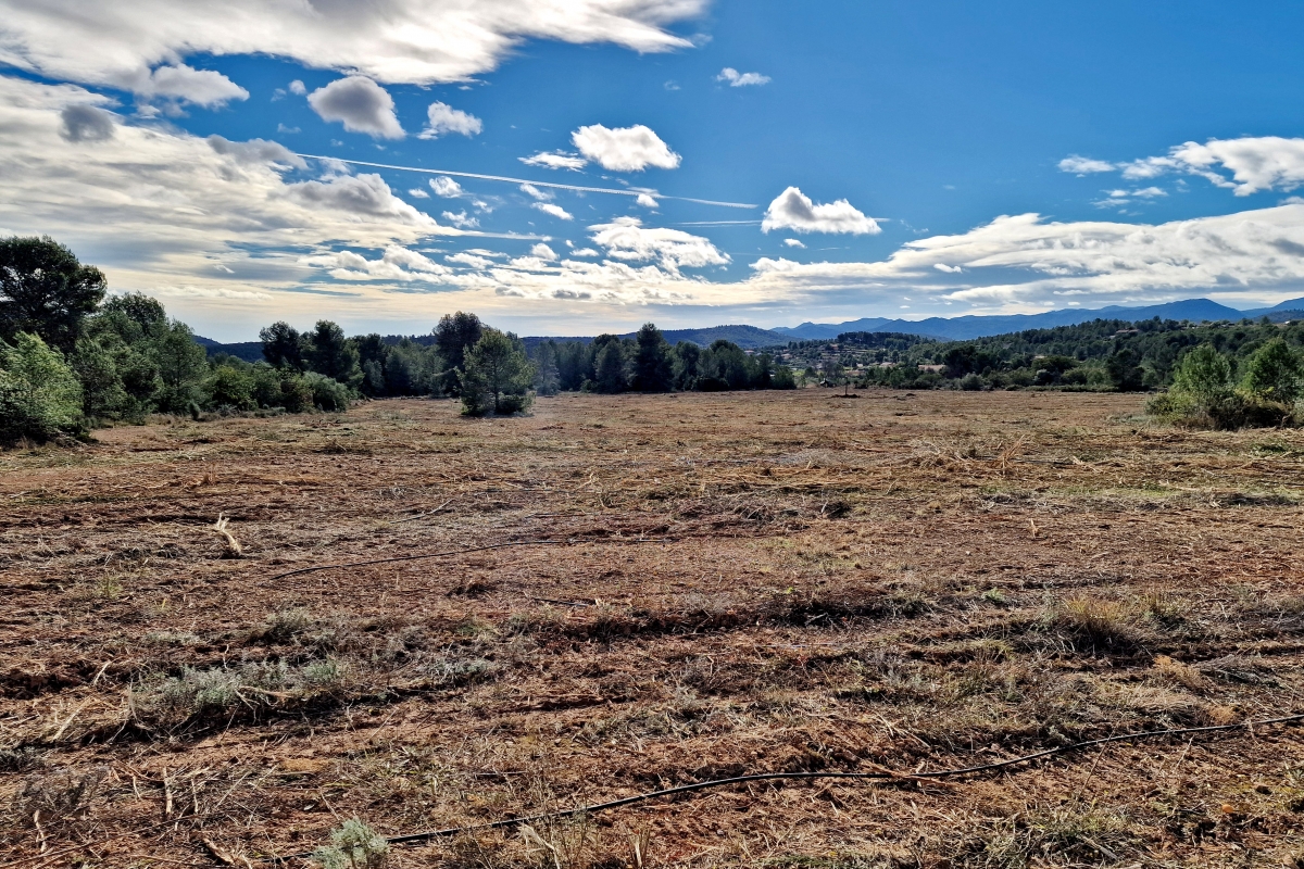  - Foto: ANTONIO PRADAS