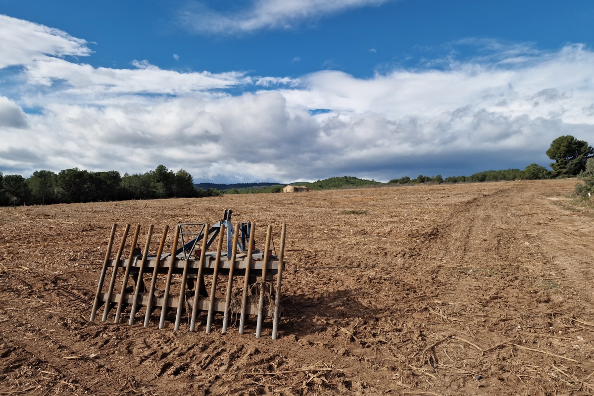  - Foto: ANTONIO PRADAS