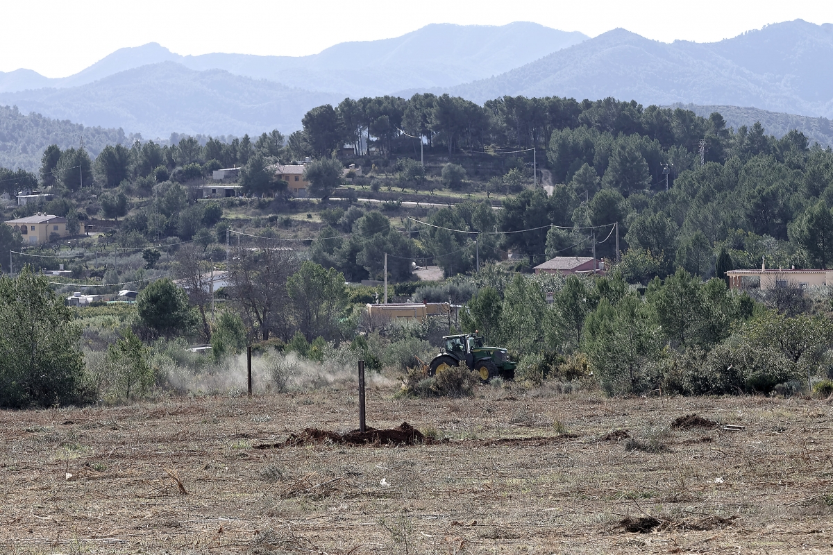  - Foto: ANTONIO PRADAS