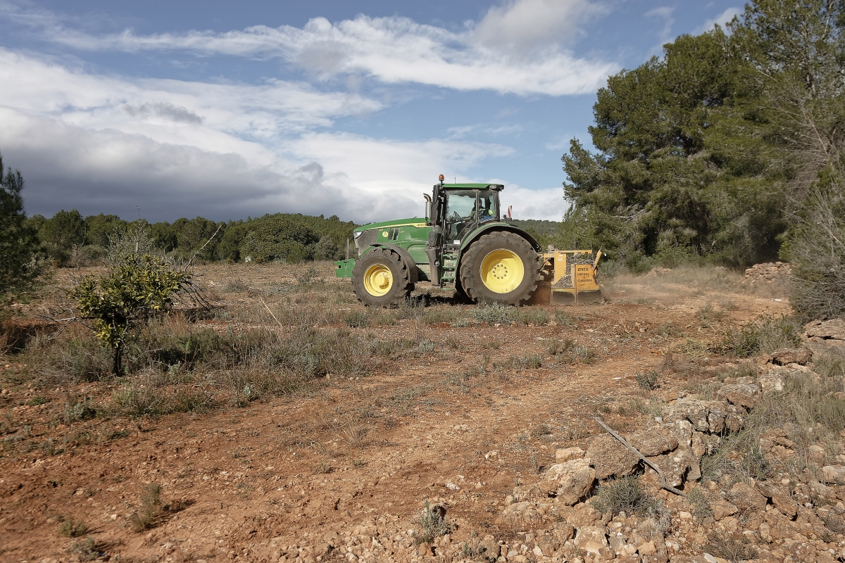  - Foto: ANTONIO PRADAS