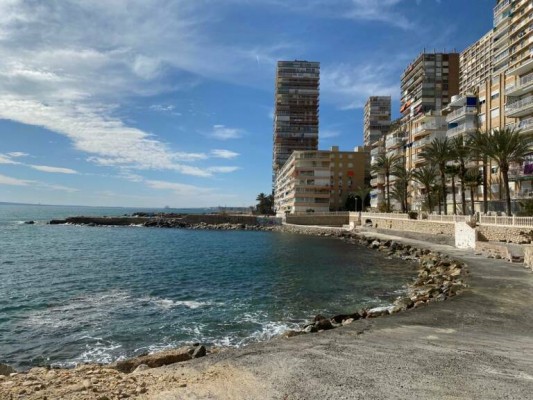 Alicante licita el acondicionamiento de la explanada de la Finca Adoc 