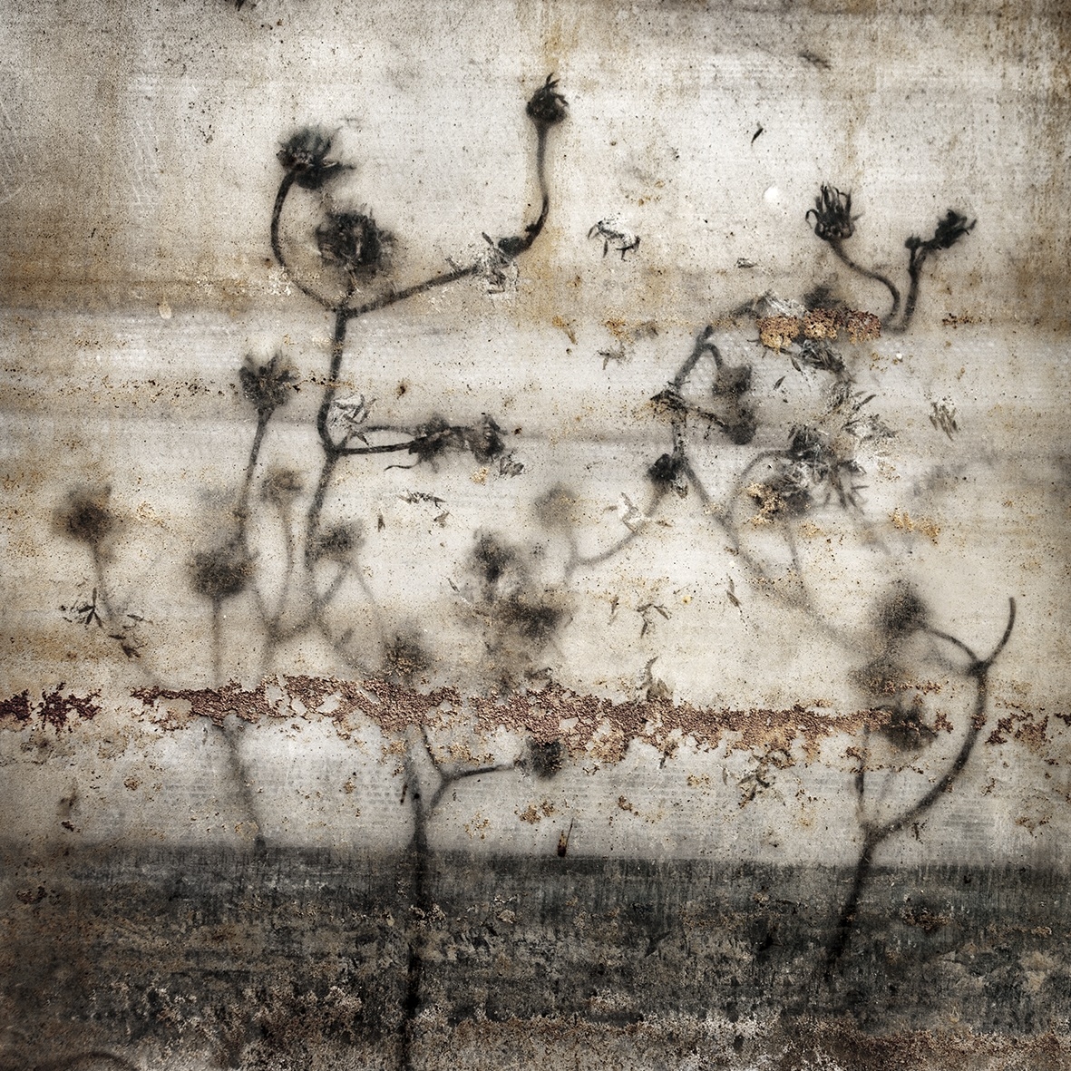 Maleza, de José Carlos Ñíguez - Maleza, de José Carlos Ñíguez