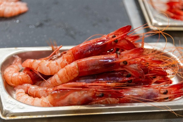 La Gamba Roja de Dénia vuelve a ser el centro de la creatividad culinaria en Dénia