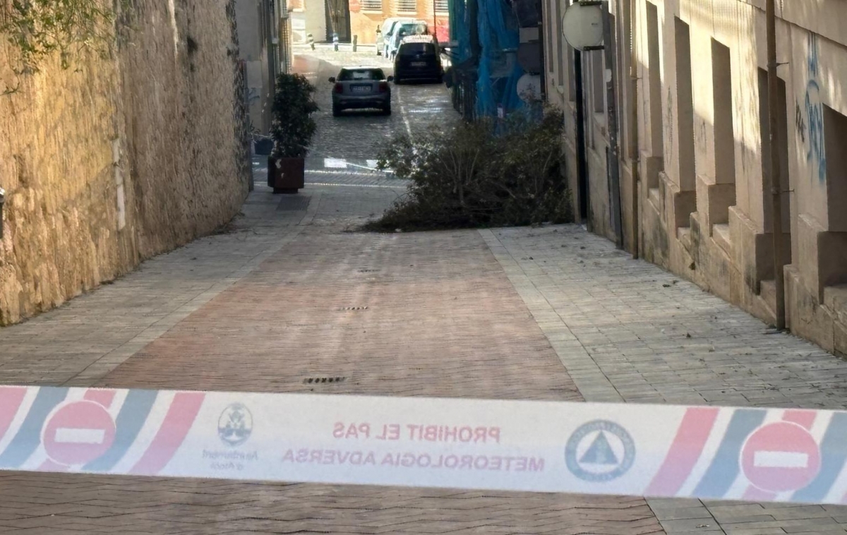 Ráfagas de hasta 126 km/h dejan en Alcoy árboles arrancados, caída de cascotes y de vallas