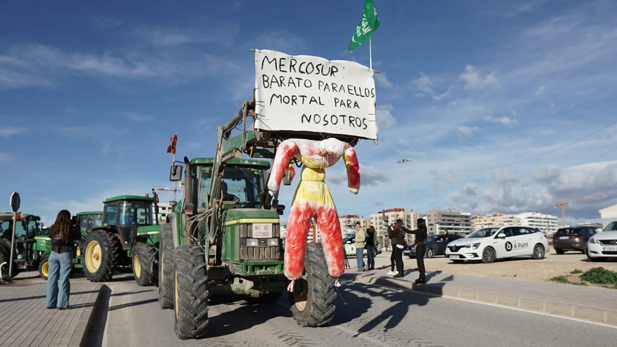 La tractorada en Alicante contra el acuerdo de Mercosur, en imágenes 