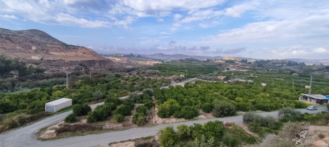La Comunidad de Regantes de Mula suspende hoy jueves el suministro de agua en la huerta, en apoyo a los agricultores y ganaderos