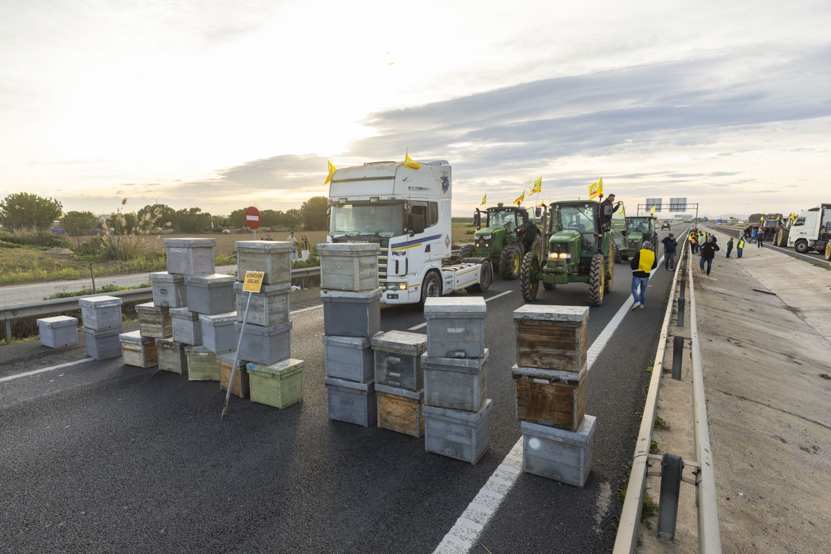  - Foto: EFE / MARCIAL GUILLÉN