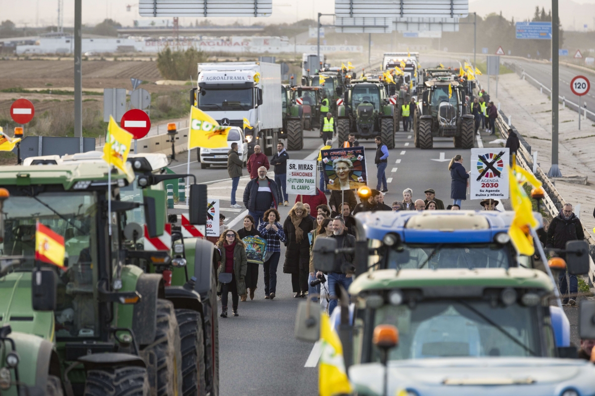  - Foto: EFE / MARCIAL GUILLÉN