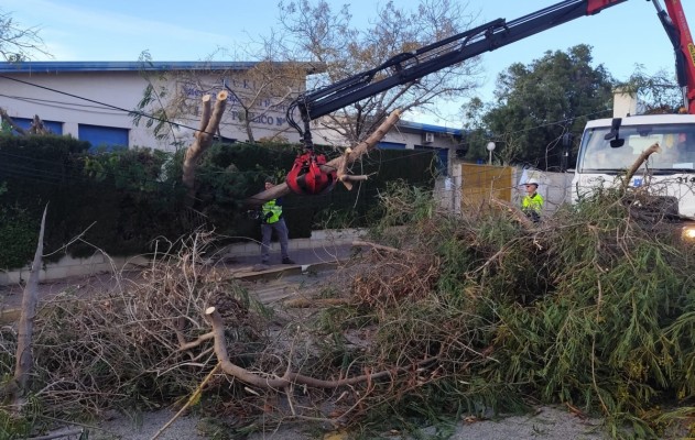 Torrevieja atiende 85 incidencias por el temporal de viento durante la alerta naranja