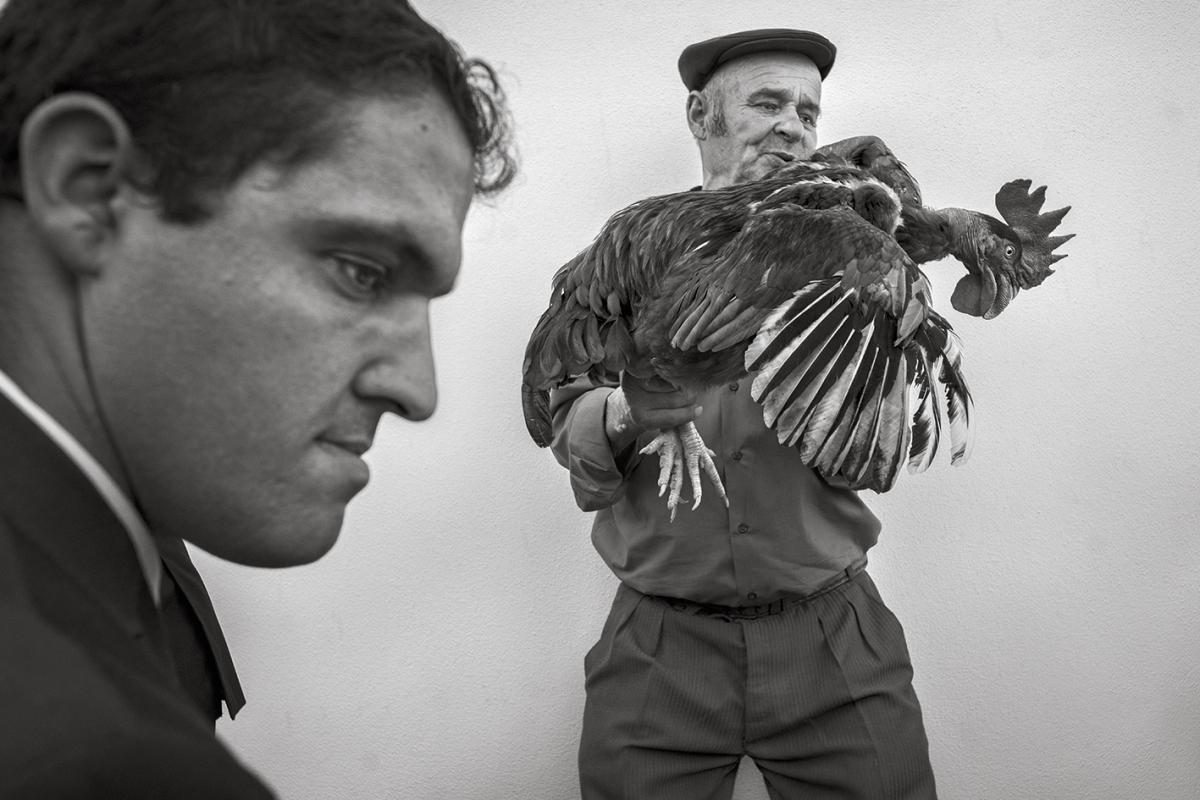 España a través de sus ritos religiosos y cuando la belleza se torna macabra: nuevas propuestas del FotoFest en Cartagena