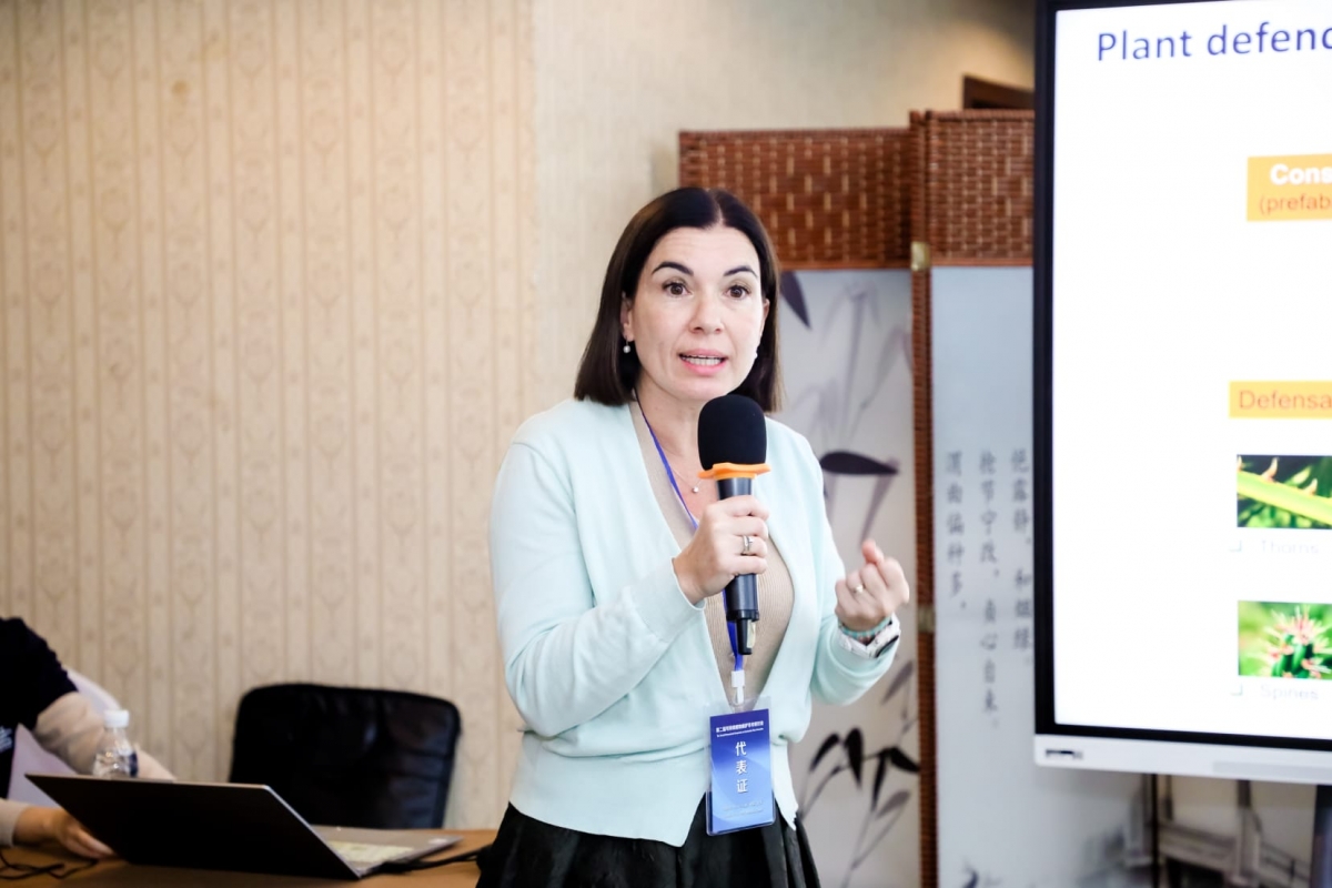 El lenguaje invisible de los cítricos: investigan cómo activar las defensas del árbol para combatir plagas