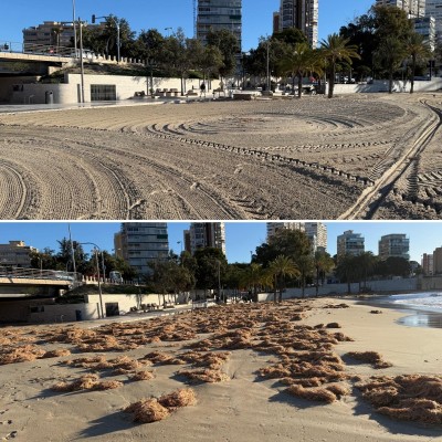 Alicante reactiva el CAUS y las medidas preventivas ante la nueva alerta naranja por vientos este sábado