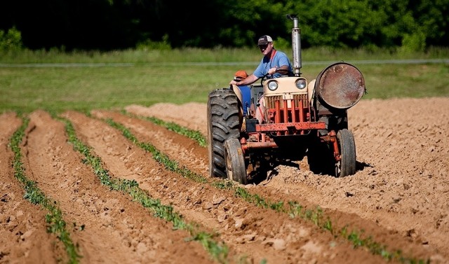 El plazo para solicitar las ayudas de la Política Agraria Común para 2026 comienza el próximo 1 de febrero