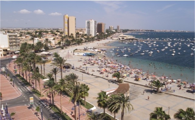 San Javier refuerza la lucha contra el picudo rojo con un contrato de más de 160.000 euros para proteger su palmeral