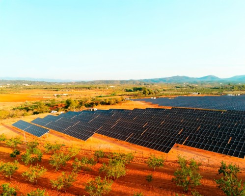 La castellonense Valfortec se alía con el gigante Jinko Solar para implementar baterías en sus parques