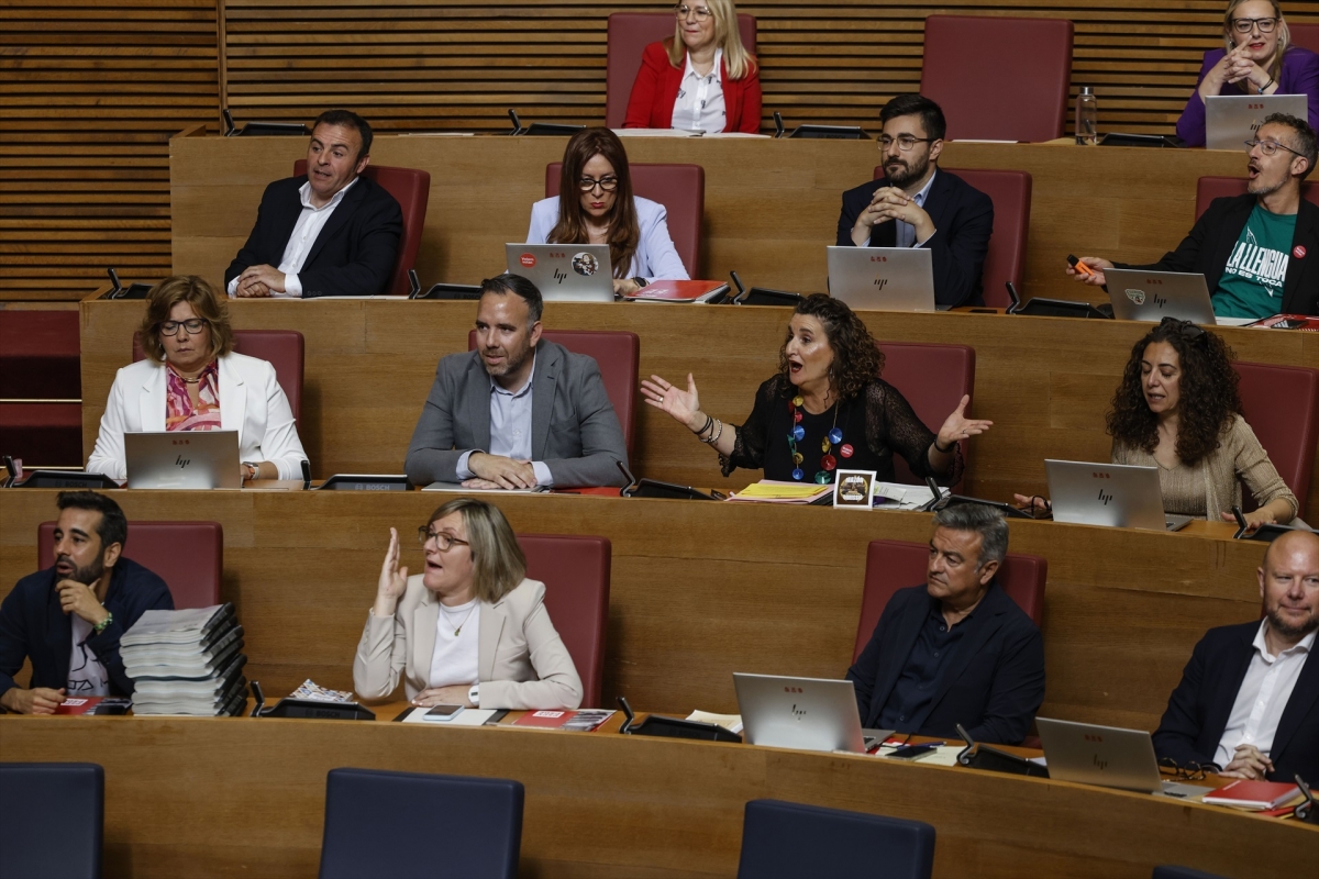Ser cola de león funciona en el PSPV: la lista por Valencia corre hasta el número 20 tras ocho renuncias