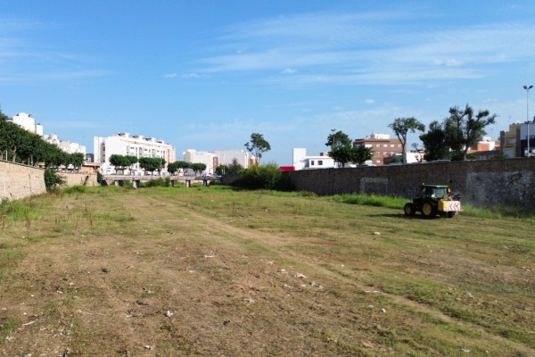 Burriana avanza en los trabajos de desbroce y mantenimiento en sus carreteras y caminos

