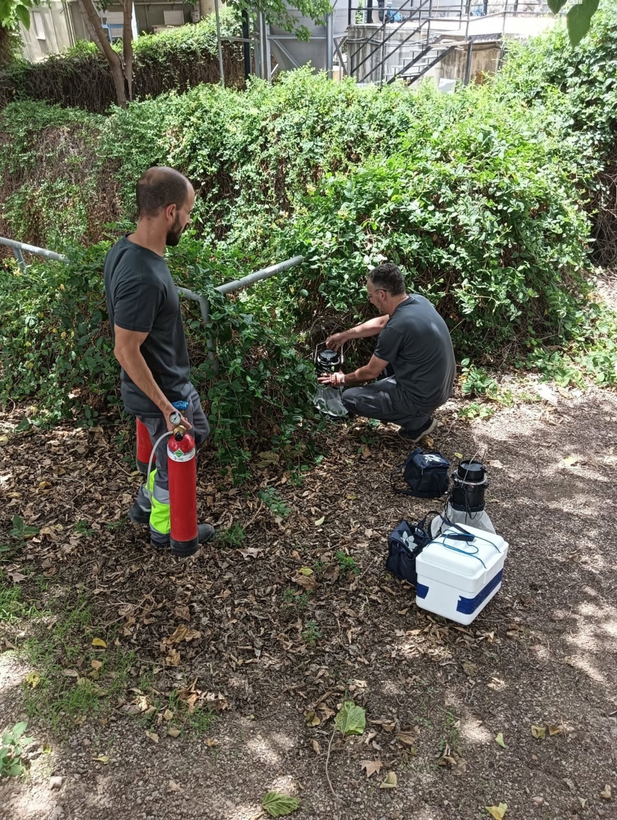 Salud Pública vigila en Murcia el aumento de enfermedades transmitidas por mosquitos y garrapatas