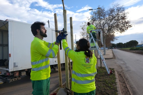 Cartagena plantará más de 300 nuevos árboles en el municipio a lo largo de 2026