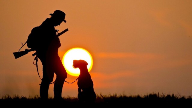El abandono de perros de caza, en cifras: menos del 13% del total en España