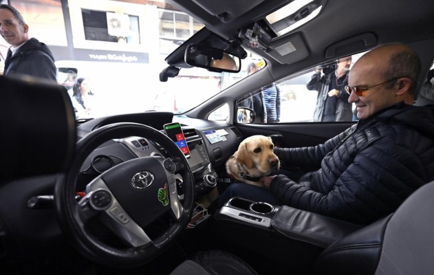 Murcia facilita el taxi a los usuarios de perros guía: prioridad en el servicio y sin costes extra
