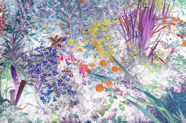 Un fotógrafo yeclano en el jardín de Monet: premio para José Quintanilla por una obra que evoca a los impresionistas