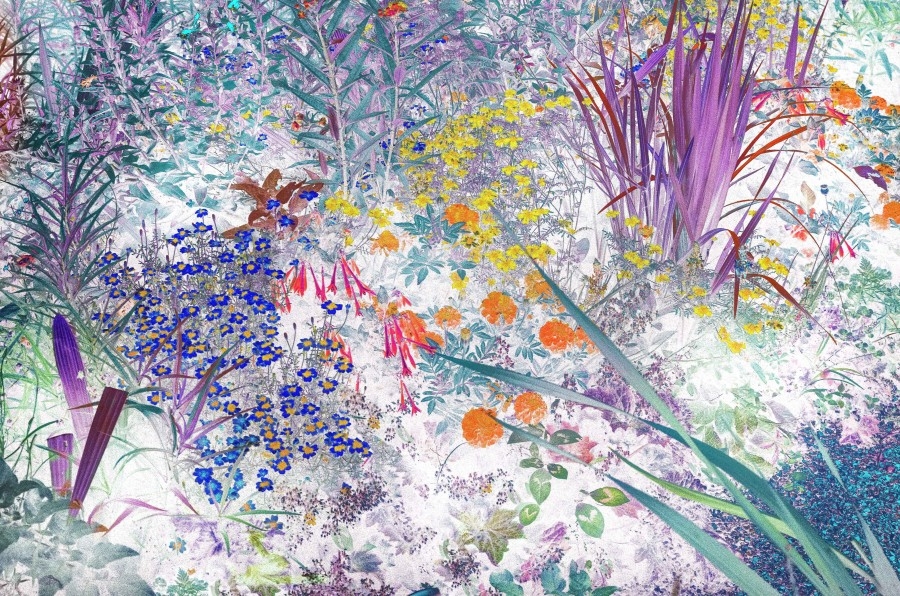 Un fotógrafo yeclano en el jardín de Monet: premio para José Quintanilla por una obra que evoca a los impresionistas