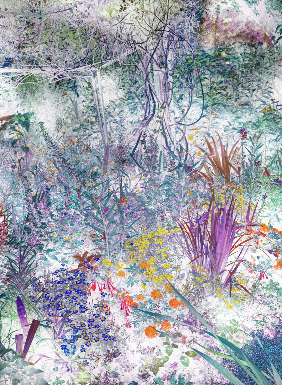 Obra premiada de José Quintanilla