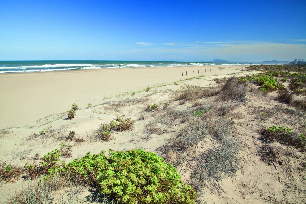 Costas aprueba la primera fase de la regeneración dunar de l'Auir de Gandia con una inversión de 2 millones