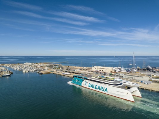 El proyecto de Baleària para contribuir a la renaturalización del Puerto de Dénia recupera hasta 30 especies marinas autóctonas