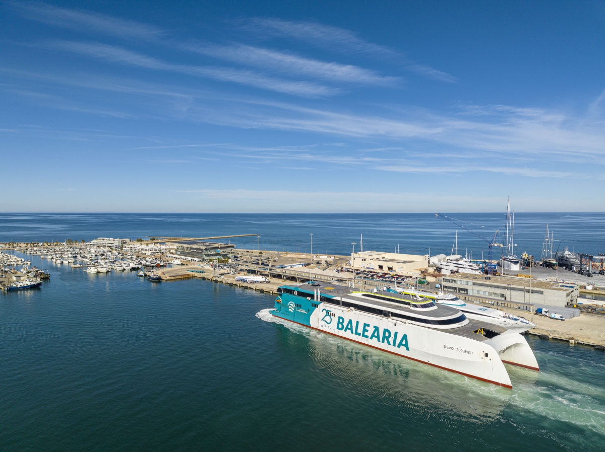 El proyecto de Baleària para contribuir a la renaturalización del Puerto de Dénia recupera hasta 30 especies marinas autóctonas