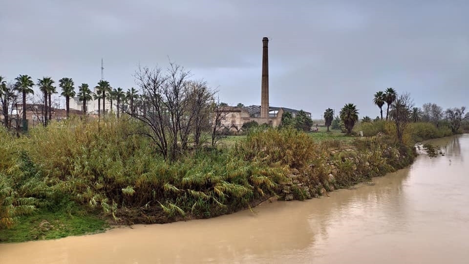 Imagen de archivo del río Júcar a su paso por Alzira. - Foto: AYUNTAMIENTO DE ALZIRA Imagen de archivo del río Júcar a su paso por Alzira.
