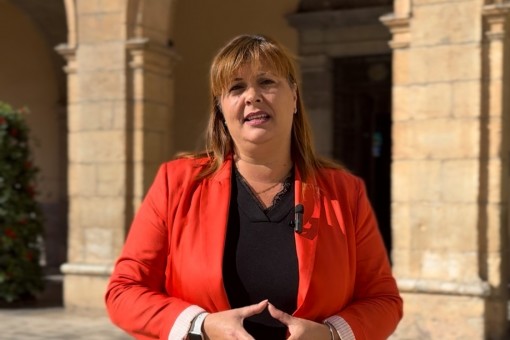 El PSPV propone un acuerdo en el pleno para adaptar Castelló al calor con una red de refugios climáticos