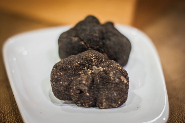 El mercado de la trufa llenará Morella con el aroma del diamante negro dels Ports