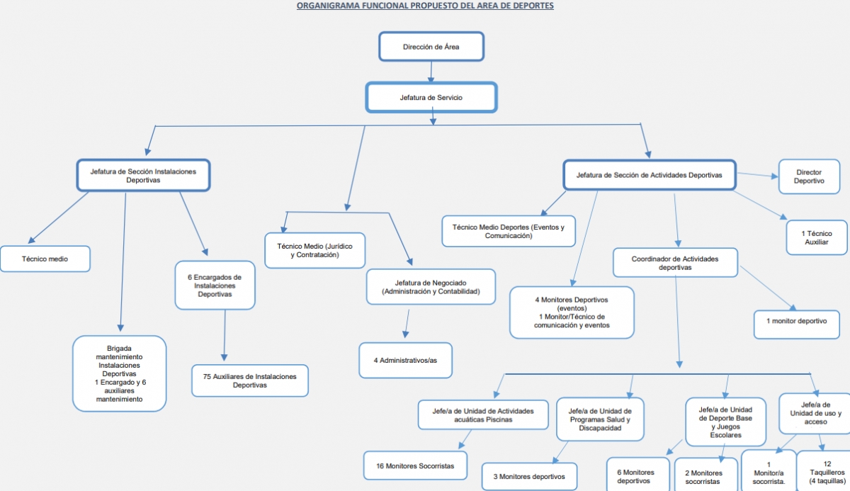 Organigrama trazado por la concejalía -