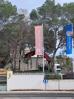 La plataforma Salvem el Litoral denuncia trabajos de desbroce en la parcela del último tramo 'virgen' de Benissa 