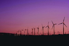 La revalorización de los residuos como estrategia económica