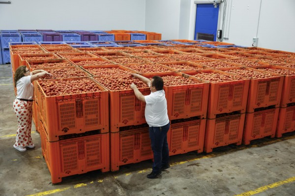 La Tomatina cambia de proveedor y sustituye a una firma de Castellón por otra de València